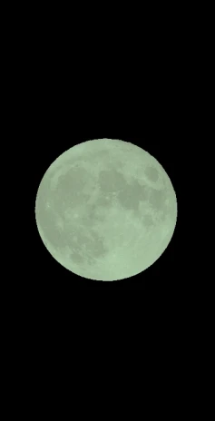 ·̩͙꒰ঌ美依姫໒꒱·̩͙さんの投稿画像