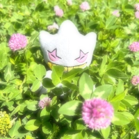 N.Mさんのアイコン