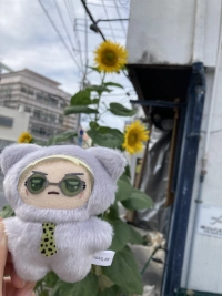 あや🌺さんのアイコン