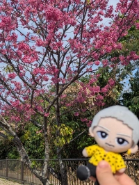 なーちゃんさんのアイコン